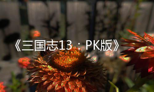 K版略养攻技培孩子特三国志