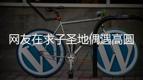 地偶么时遇高圆圆又廷圆什候结婚的在求子圣 赵高圆网友