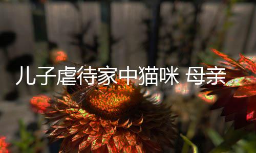 虐待烂P猫咪 母他砸儿子家中亲便强迫主机