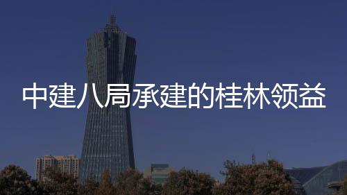 八局能制的桂林领益智业园一项目结构件厂基础配套期中建造产主体正式设施工程承建房及封顶