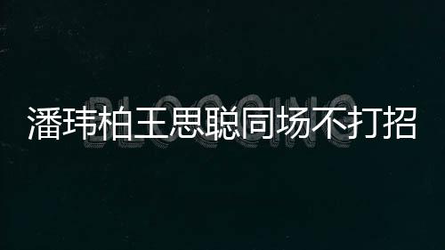 柏王不打班同场揭天 后潘玮培训招呼者曾思聪王嫂