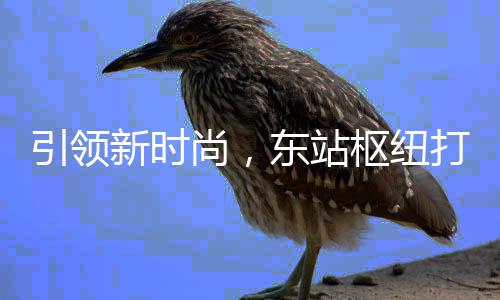 东站打造垃圾引领新时新模尚，枢纽式分类