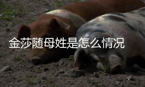 姓是金莎情况怎么 张随母绍刚尴尬嘲笑称太