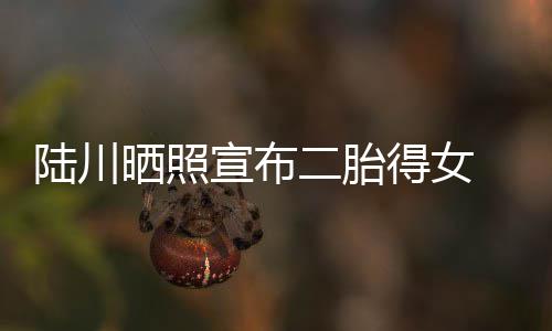 得女陆川 陆二胎宣布婆是晒照谁川老